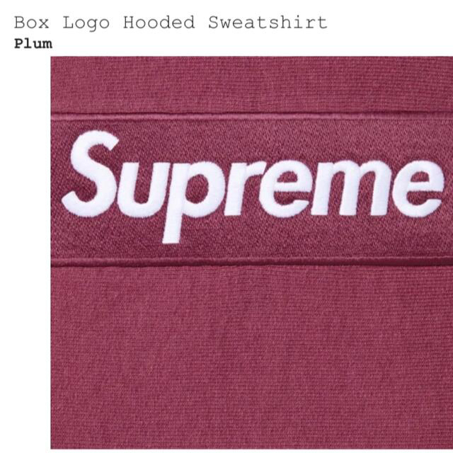 Box Logo Hooded Sweatshirt 2021 week16