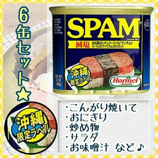 スパム SPAM 減塩 ポーク ランチョンミート 340g 6缶 セット 缶詰(缶詰/瓶詰)