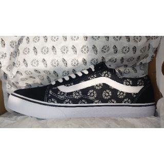 ヴァンズ(VANS)のVANS × BUMP OF CHICKEN(スニーカー)