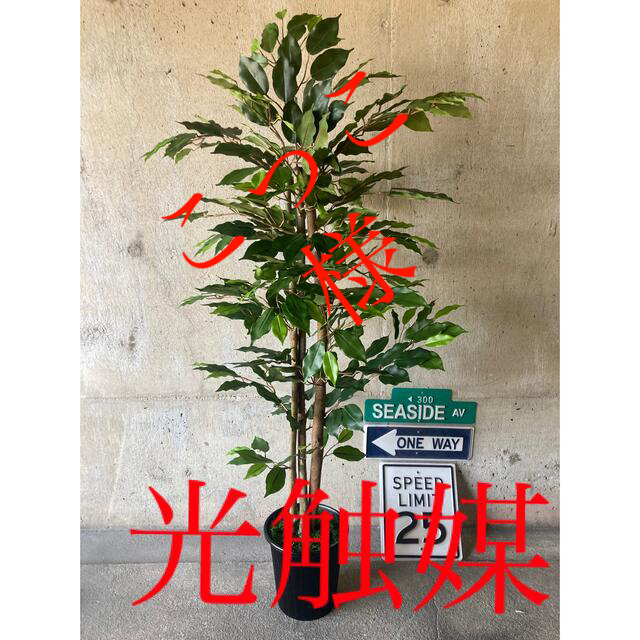 光触媒　人工観葉植物　ウォールグリーン　フェイク　アレンジ　ベンジャミン125