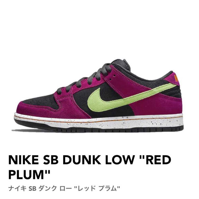 NIKE SB DUNK LOW "RED PLUM"   29.5cm