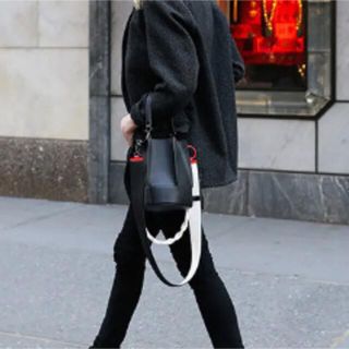 ロエベ(LOEWE)のルーブル　バッグストラップ　シナモン(その他)