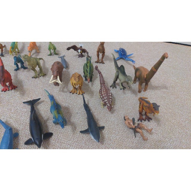 アニア、恐竜、動物　セット 4