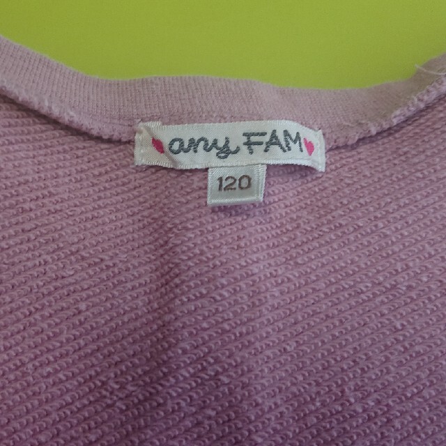 anyFAM(エニィファム)のキッズ トレーナー 120 キッズ/ベビー/マタニティのキッズ服女の子用(90cm~)(Tシャツ/カットソー)の商品写真