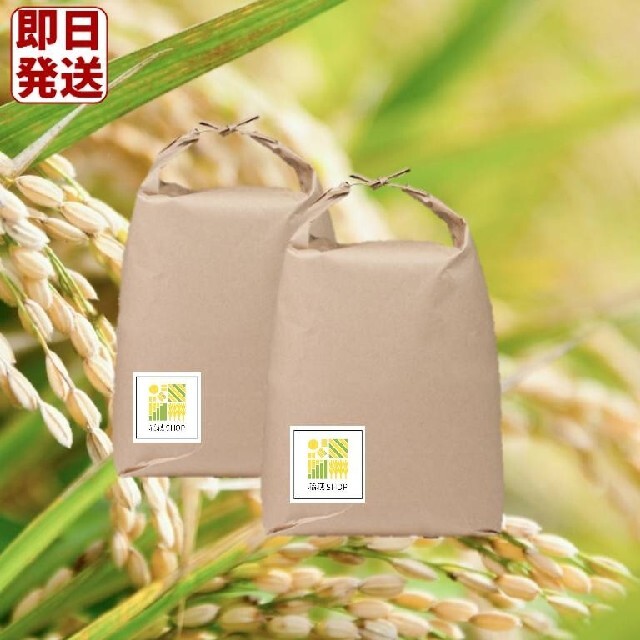 【新米入荷】　さがびより　白米20Kg　米 食品/飲料/酒の食品(米/穀物)の商品写真