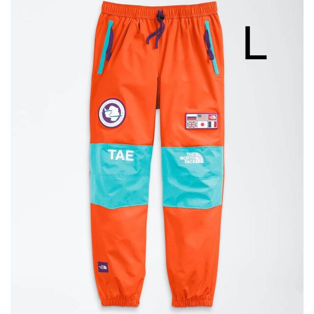 The North Face trans antarctica pants L