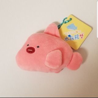 つぶらな瞳の水族館48種(キャラクターグッズ)