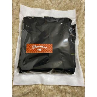 Champion - US限定 Champion SUPER HOODIE スーパーフーディ パーカー ...