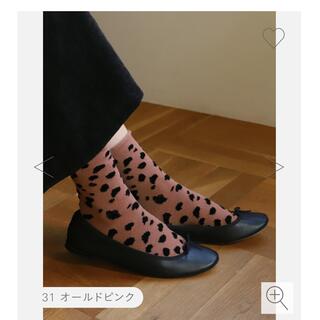 クツシタヤ(靴下屋)のTabio ダルメシアン柄ショートソックス 【新品】(ソックス)