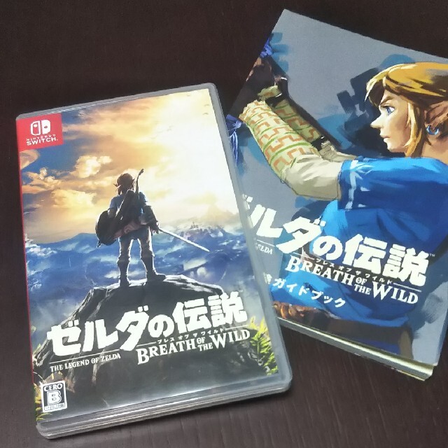 ガイド付きゼルダの伝説 ブレス オブ ザ ワイルド Switch