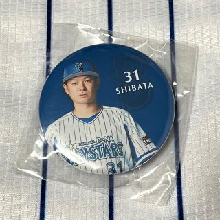 ヨコハマディーエヌエーベイスターズ(横浜DeNAベイスターズ)の横浜DeNAベイスターズ☆*°柴田選手  マグネット(スポーツ選手)