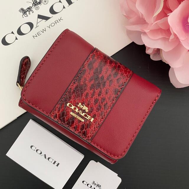 新品☆COACH(コーチ)ブラック アニマル レザー 折り財布