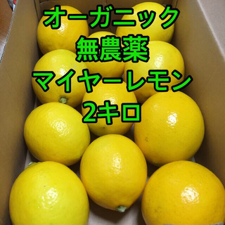 オーガニック　無農薬マイヤーレモン　2キロ(フルーツ)