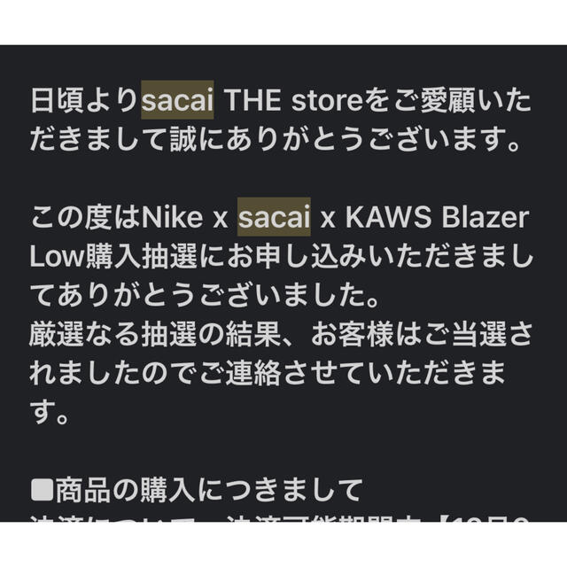 nike sacai kaws Blazer Low US8.5 26.5㎝