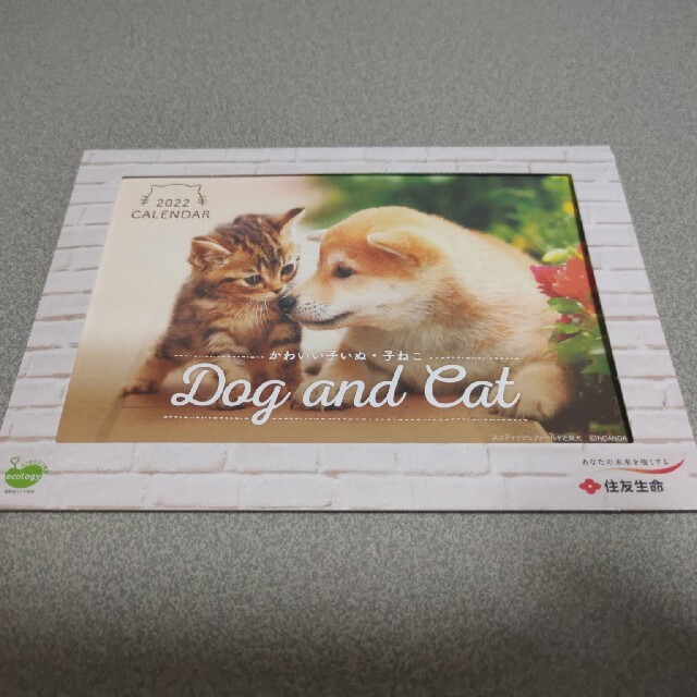 犬猫カレンダー2022 インテリア/住まい/日用品の文房具(カレンダー/スケジュール)の商品写真