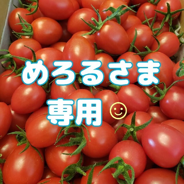 10㎏  めろるさま専用です☺️  和歌山県産 ミニトマト アイコ