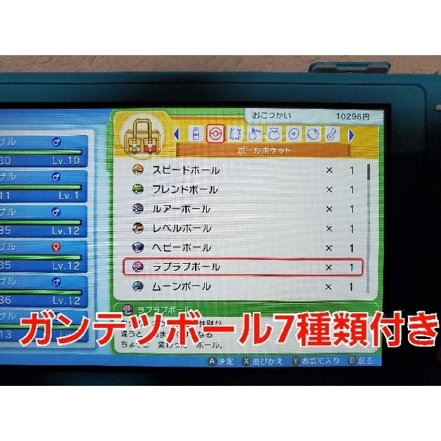 ポケモンBDSPバージョン1.1.1入り Switchライト いろいろセット ポケモンBDSPバージョン1.1.1入り Switchライト いろいろセット
