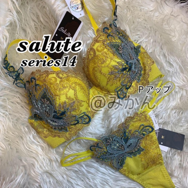 Wacoal(ワコール)のWacoal🦋salute単品ブラ3点セット レディースの下着/アンダーウェア(その他)の商品写真