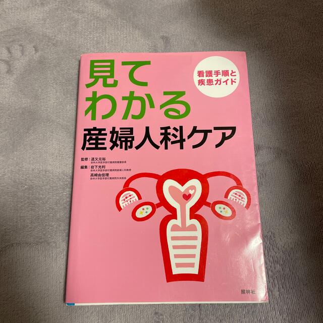 見てわかる産婦人科ケア 看護手順と疾患ガイド エンタメ/ホビーの本(健康/医学)の商品写真