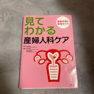 見てわかる産婦人科ケア 看護手順と疾患ガイド(健康/医学)