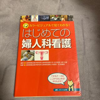 はじめての婦人科看護 カラービジュアルで見てわかる！(健康/医学)