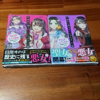 歴史に残る悪女になるぞ 悪役令嬢になるほど王子の溺愛は加速するようです！(その他)