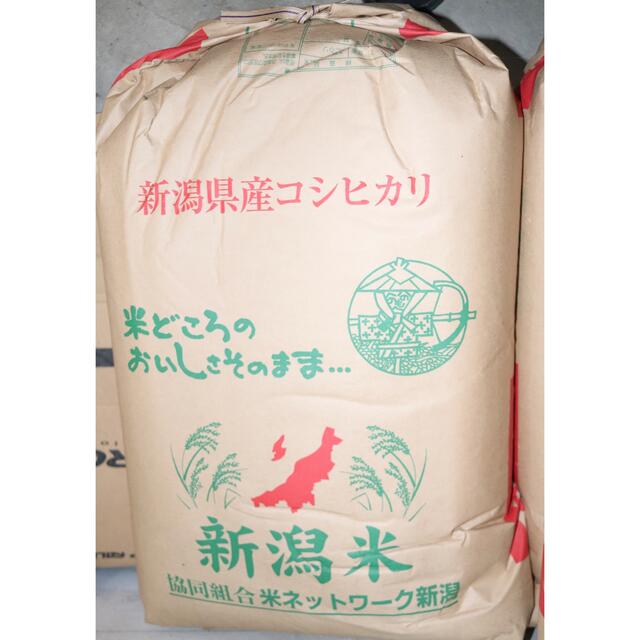新潟県産コシヒカリ30kg令和2年（2020)   精米無料食品/飲料/酒
