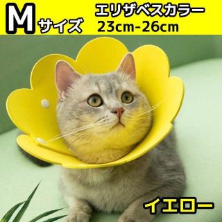 Mサイズ イエロー エリザベスカラー 猫 犬 子猫 子犬 術後 首輪(猫)