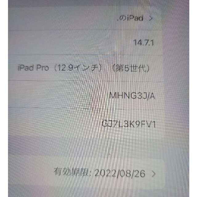 iPad pro12.9シルバー128GB　WiFi　第5世代　zugucase
