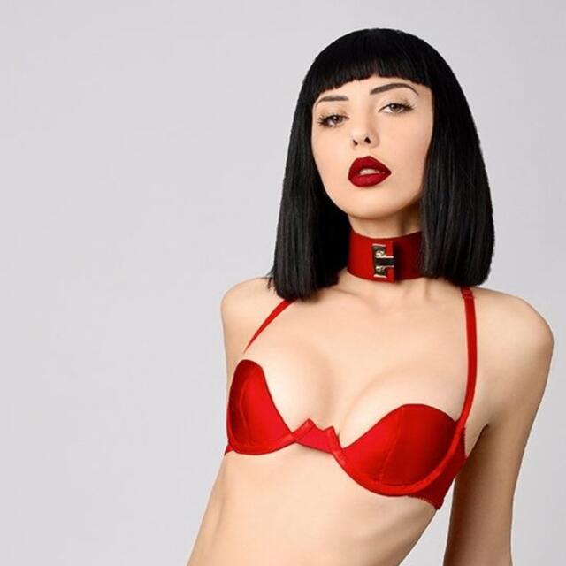 LA PERLA(ラペルラ)のe.l.f.zhou  ASCOT HALTER DEMI BRA S レディースの下着/アンダーウェア(ブラ)の商品写真