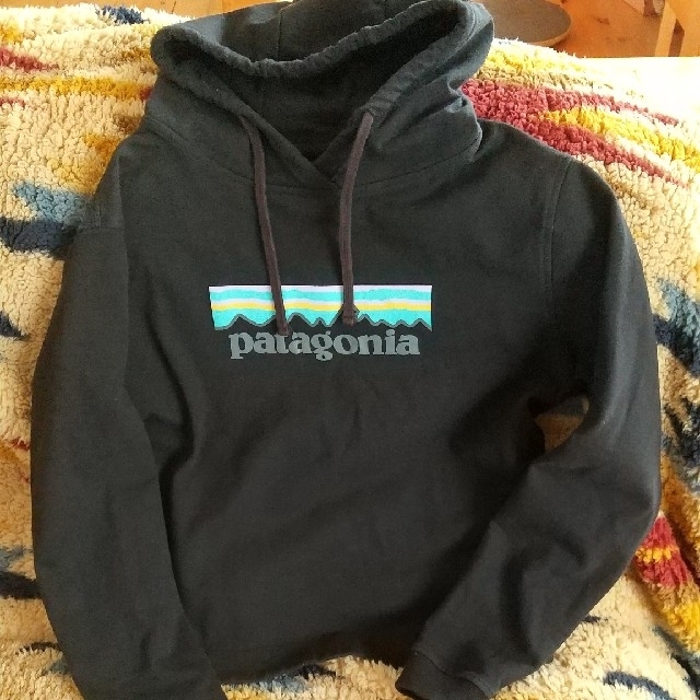 patagonia(パタゴニア)の【☆くるみ様☆】patagonia フーディー レディース レギュラーフイットM レディースのトップス(パーカー)の商品写真