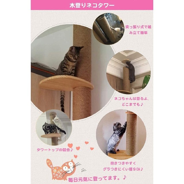 魅力的な価格 キャットタワー 突っ張り 省スペース おしゃれ スリム 猫タワー 猫ハウス 爪とぎ 麻紐 ハンモック付き 安定性抜群 猫 おもちゃ 大型猫  多頭猫飼い ネコ ねこ 高級 ペット用品 組立簡単 高さ216-245cm fucoa.cl