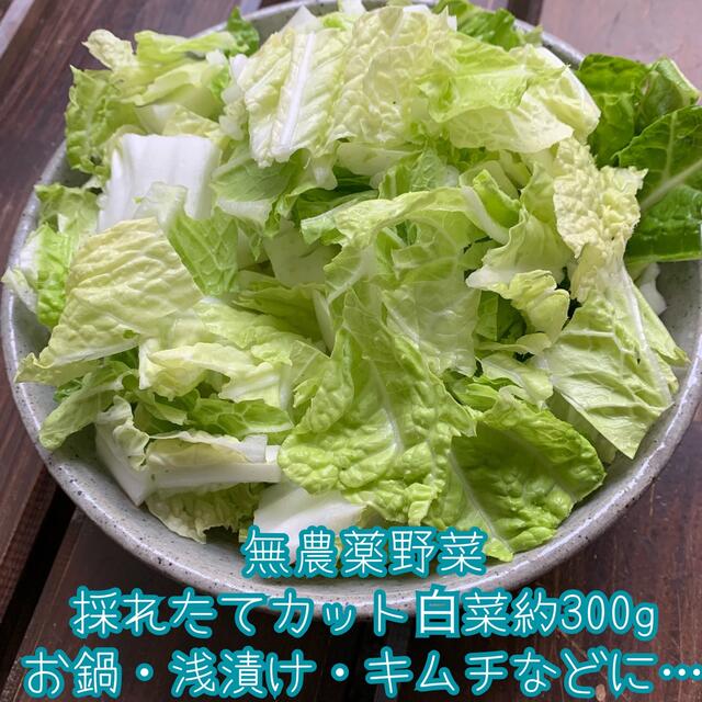 無農薬野菜＊採れたて旬のカット白菜300g＊お鍋・漬け物・シチュー等に＊ネコポス 食品/飲料/酒の食品(野菜)の商品写真