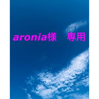 aronia様専用😊(ネイル用品)