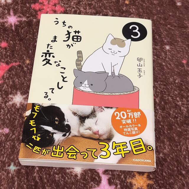 うちの猫がまた変なことしてる。 ３ エンタメ/ホビーの本(文学/小説)の商品写真