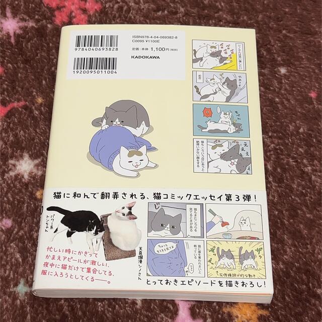 うちの猫がまた変なことしてる。 ３ エンタメ/ホビーの本(文学/小説)の商品写真