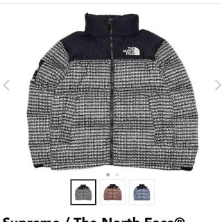 シュプリーム(Supreme)のSupreme / The North Face® (ダウンジャケット)