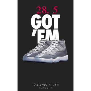 ナイキ(NIKE)のNIKE Air Jordan11 Cool Grey 28.5(スニーカー)