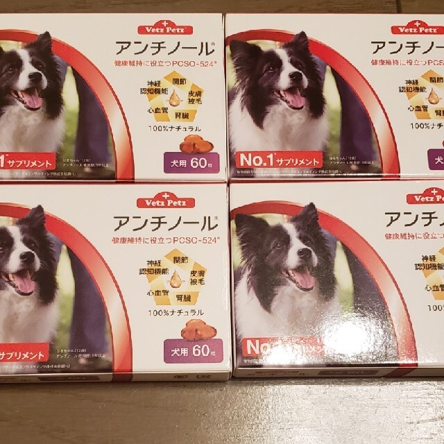 犬用アンチノール 60粒 4箱