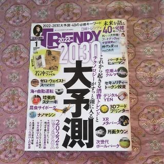 日経トレンディ　2022年 01月号(その他)