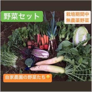 1/14(金)朝採れ！即日発送！有機野菜セット120サイズ！季節の野菜！(野菜)