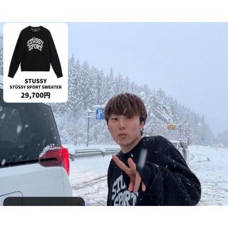 ステューシー(STUSSY)のSTUSSY（トレーナー）(トレーナー/スウェット)