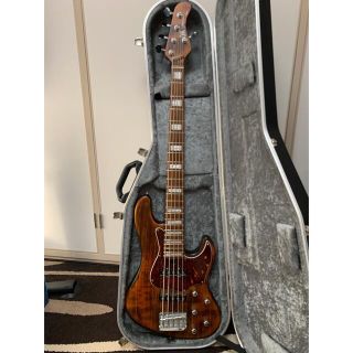 Mayones Jabba HF5 アドリアンフェローモデル　美品