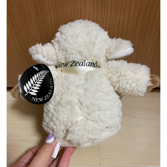 ニュージーランド🇳🇿羊🐏ぬいぐるみ エンタメ/ホビーのおもちゃ/ぬいぐるみ(ぬいぐるみ)の商品写真