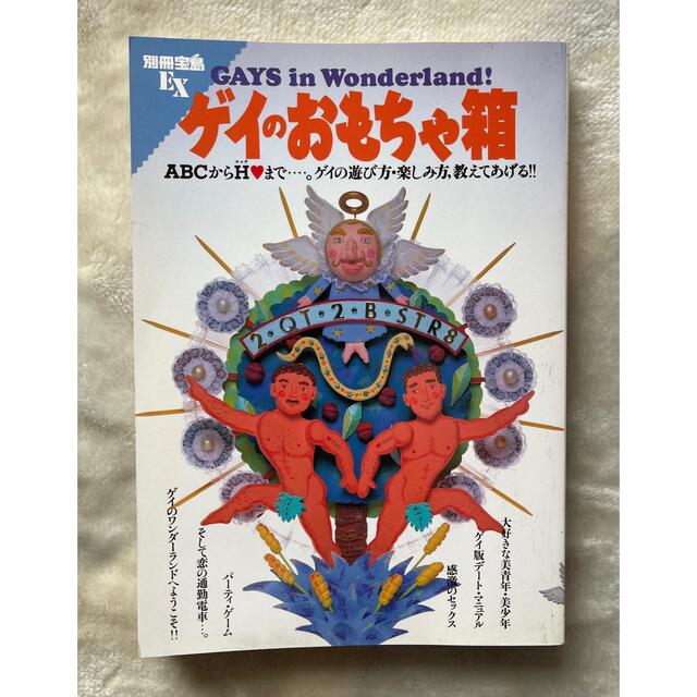 ゲイのおもちゃ箱 エンタメ/ホビーの本(趣味/スポーツ/実用)の商品写真