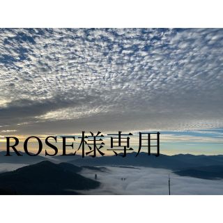 イシヤセイカ(石屋製菓)のROSE様専用(菓子/デザート)