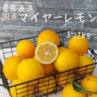 国産マイヤーレモン　約2Kg(フルーツ)