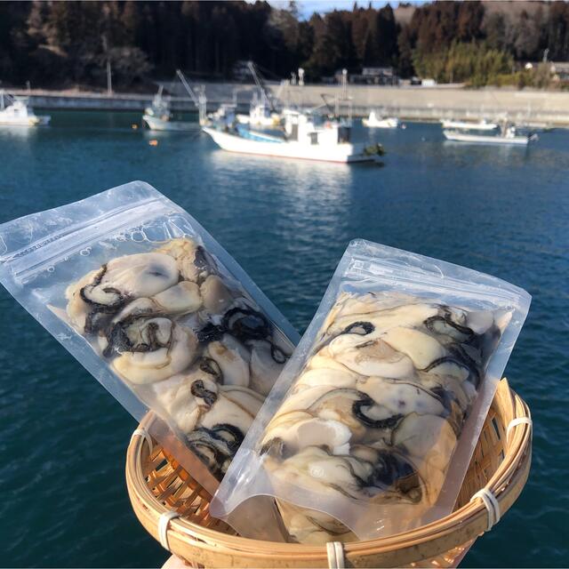宮城県南三陸志津川より牡蠣漁師直送 真牡蠣のむき身ぎっしり300g×4 ... 宮城県南三陸志津川より牡蠣漁師直送 真牡蠣のむき身ぎっしり300g×4パック!