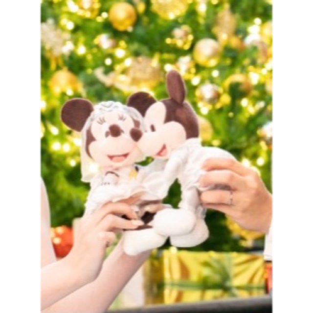 Disney(ディズニー)のミッキー＆ミニー　ぬいぐるみ エンタメ/ホビーのおもちゃ/ぬいぐるみ(ぬいぐるみ)の商品写真