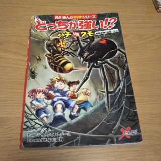 カドカワショテン(角川書店)のどっちが強い！？ハチｖｓクモ 危険生物の必殺バトル(絵本/児童書)